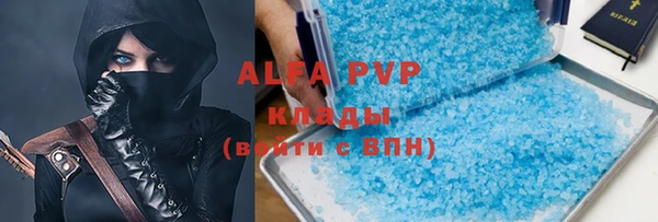 хмурый Абаза
