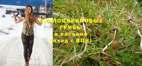 хмурый Абаза