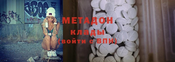 стаф Алзамай