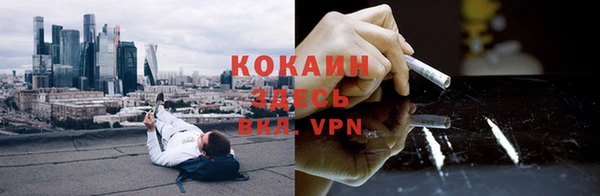 сатива Новокубанск