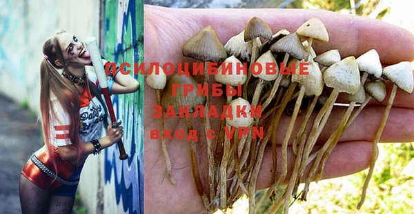 хмурый Абаза
