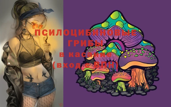 spice Абдулино