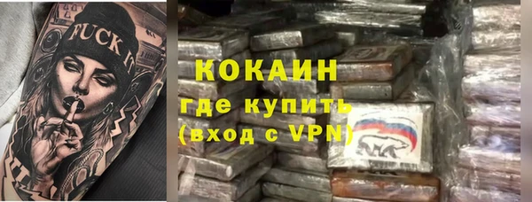 хмурый Абаза
