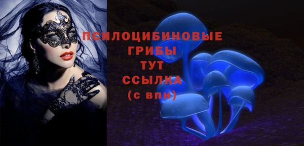 хмурый Абаза