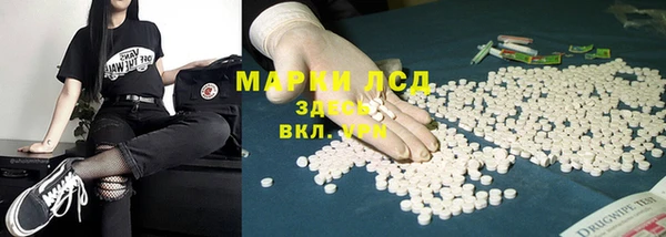 хмурый Абаза